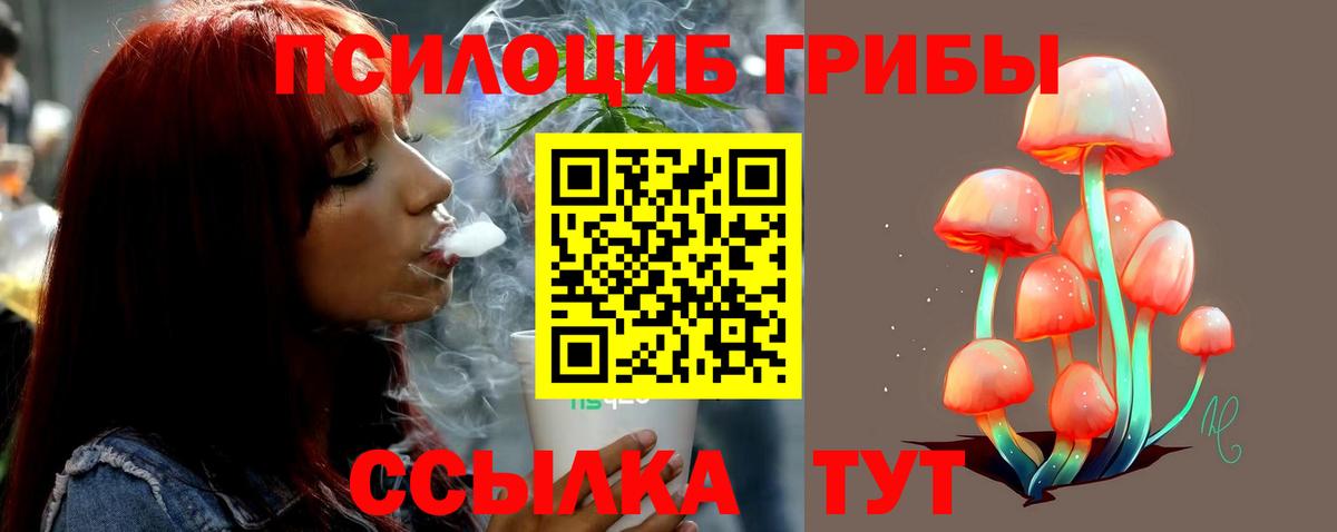 где купить наркоту  Псилоцибиновые грибы GOLDEN TEACHER  Вход с VPN  Отрадное  Галлюциногенные грибы ЛСД 